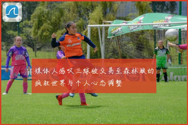 媒体人感叹三球被交易至森林狼的疯狂世界与个人心态调整